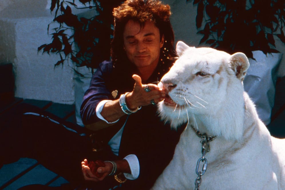 Roy Horn in den Neunzigerjahren mit einem weißen Tiger: Auch nach seinem Unfall 2003 hatte er keine Angst vor ihnen.