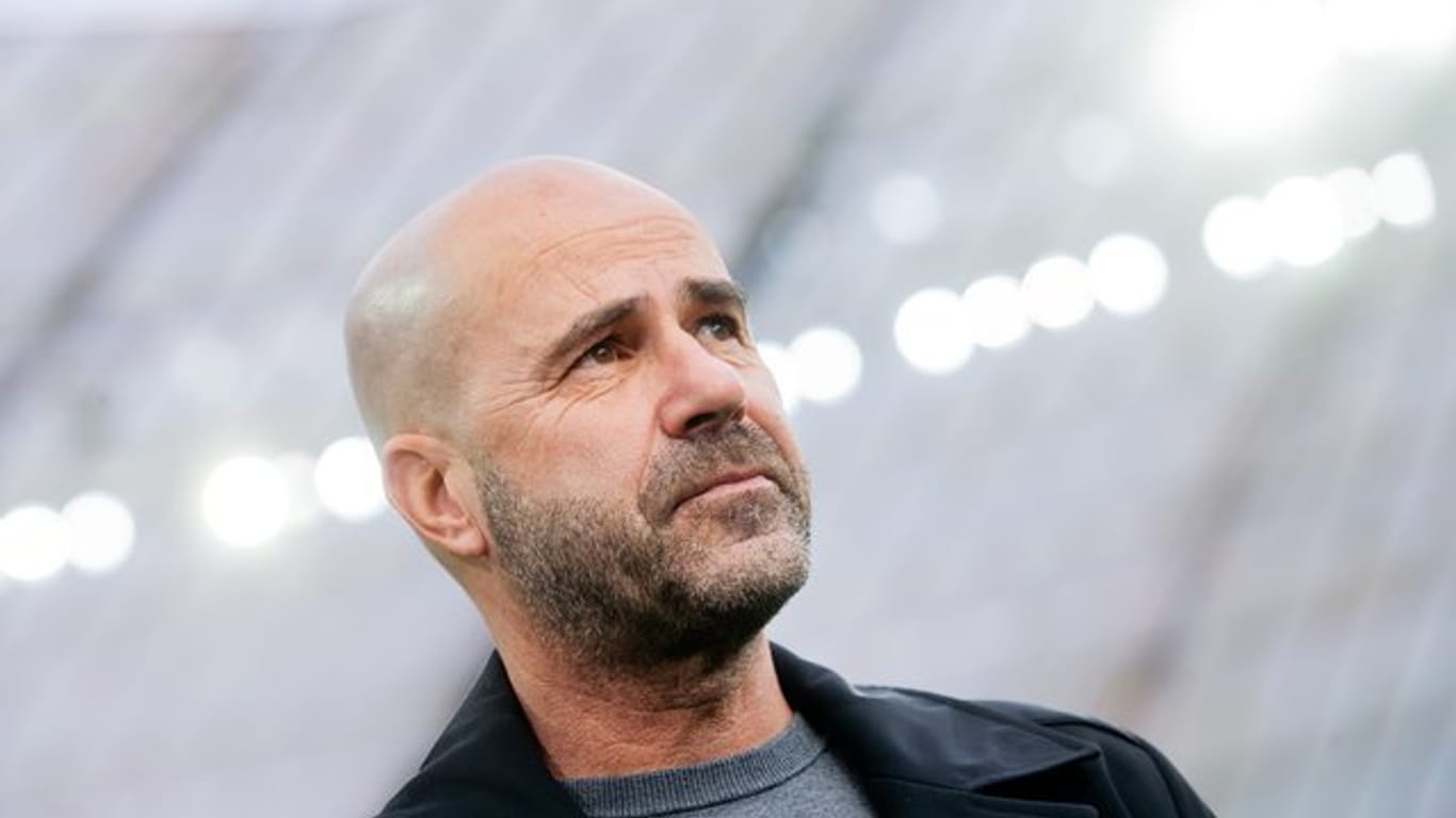 "Riecht wieder nach Fußball": Bayer Leverkusens Trainer Peter Bosz freut sich auf den Neustart der Bundesliga.
