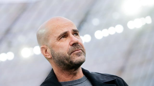 "Riecht wieder nach Fußball": Bayer Leverkusens Trainer Peter Bosz freut sich auf den Neustart der Bundesliga. "Riecht wieder nach Fußball": Bayer Leverkusens Trainer Peter Bosz freut sich auf den Neustart der Bundesliga.