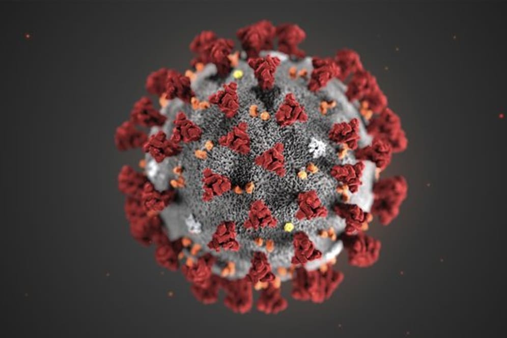 Coronavirus-Darstellung