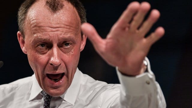 Friedrich Merz verteidigt das Karlsruher Urteil zur EZB.