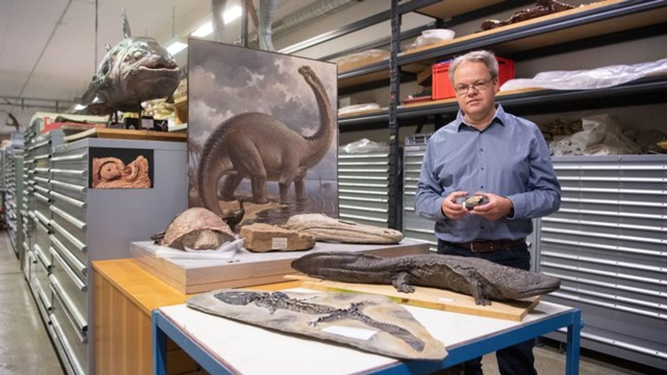 Rainer Schoch, Kurator fossile Amphibien und landlebende Reptilien im Naturkundemuseum Stuttgart.