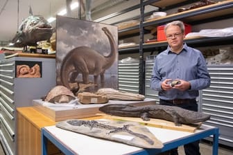 Rainer Schoch, Kurator fossile Amphibien und landlebende Reptilien im Naturkundemuseum Stuttgart.