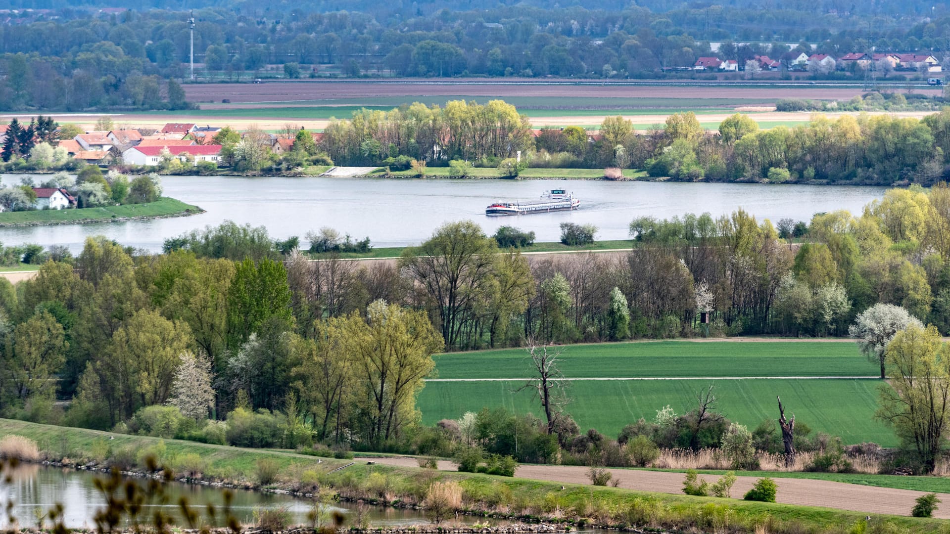 Die Donau: Heute ist sie kein naturnahes Gewässer mehr, sondern eine auf Effizienz getrimmte Wasserstraße.