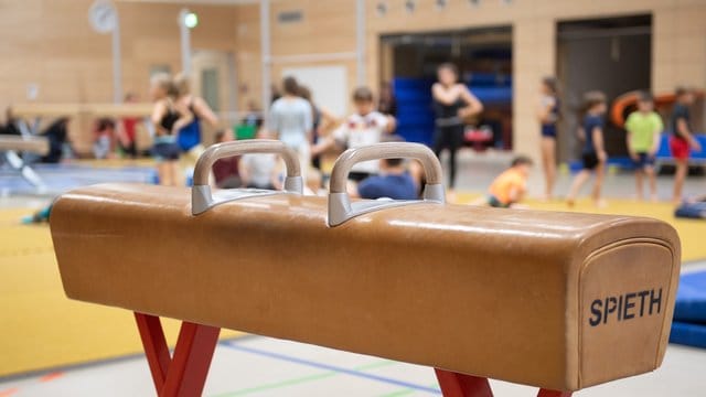 Sporthalle (Symbolbild): Die Schule soll bereits im vergangenen Jahr von den Vorwürfen erfahren haben.