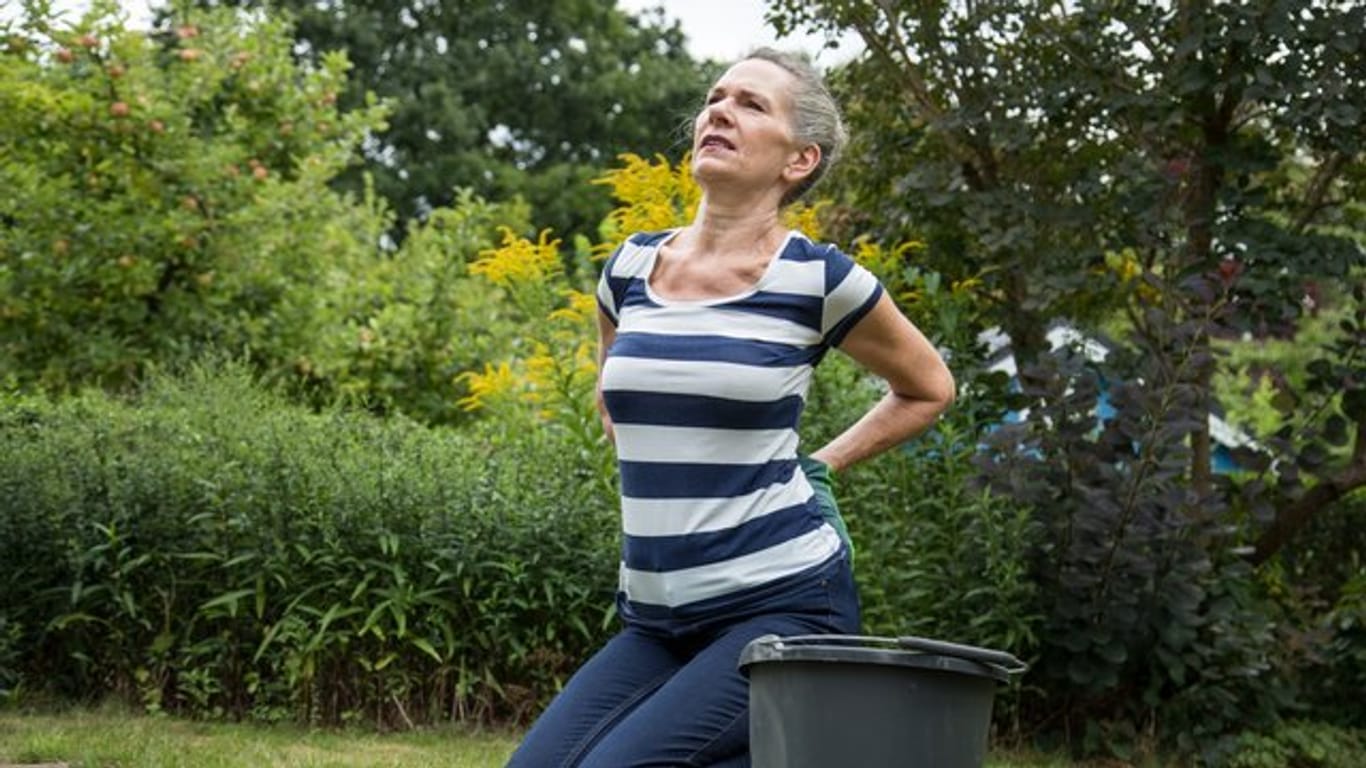 In gebückter Haltung, auf den Knien am Boden: Gartenarbeit kann Rückenschmerzen provozieren.