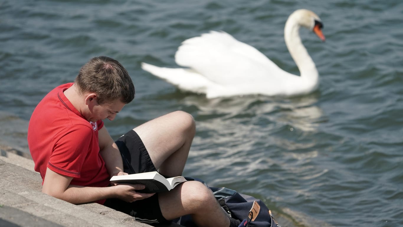 Ein Mann liest auf einer Rheintreppe ein Buch, während ein Schwan vorbeischwimmt: Das Wetter wird am Wochenende wieder frühlingshafter.