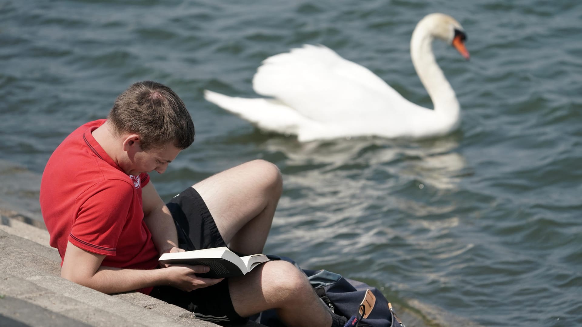 Ein Mann liest auf einer Rheintreppe ein Buch, während ein Schwan vorbeischwimmt: Das Wetter wird am Wochenende wieder frühlingshafter. Ein Mann liest auf einer Rheintreppe ein Buch, während ein Schwan vorbeischwimmt: Das Wetter wird am Wochenende wieder frühlingshafter.