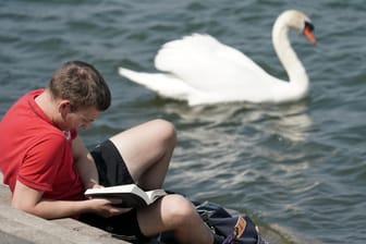 Ein Mann liest auf einer Rheintreppe ein Buch, während ein Schwan vorbeischwimmt: Das Wetter wird am Wochenende wieder frühlingshafter.