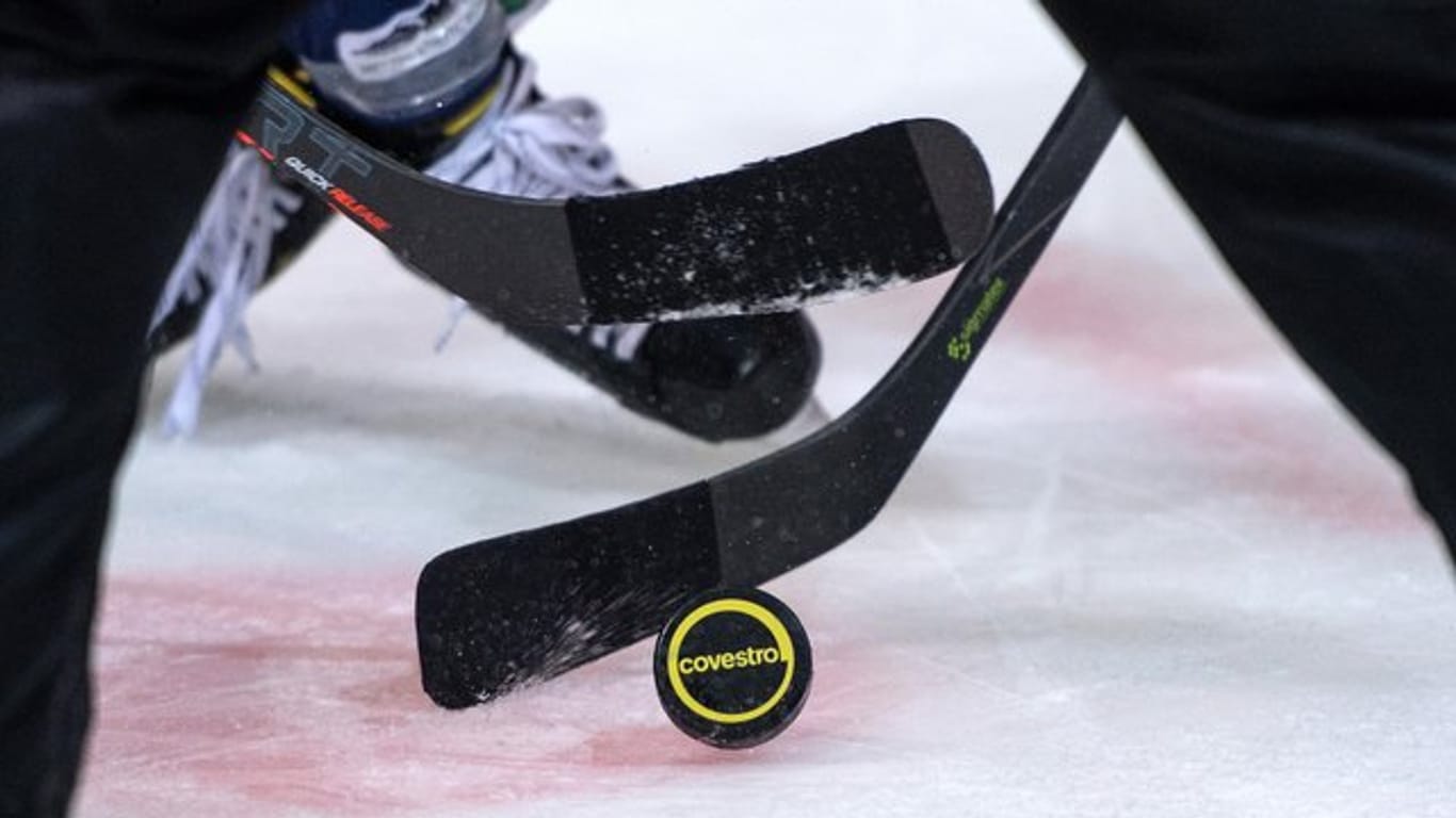 Die Eishockey-Clubs in der DEL hatten ihre Saison abgebrochen.