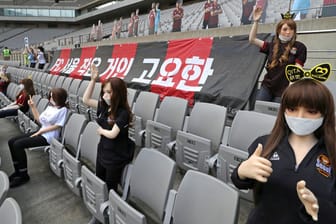 Sexpuppen auf den Zuschauerrängen: Der FC Seoul erklärte, ihm sei nicht bewusst gewesen, dass es sich um Sexspielzeug handelte.
