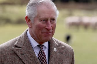 Prinz Charles: Er hat seine Landsleute dazu aufgerufen, den Bauern bei der Ernte zu helfen.