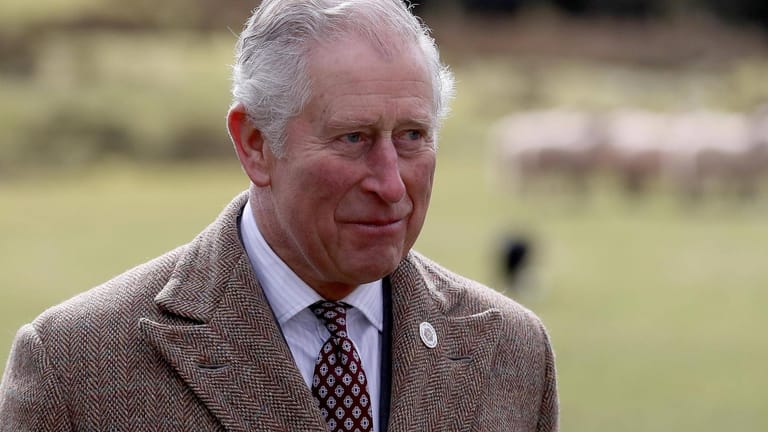 Prinz Charles: Er hat seine Landsleute dazu aufgerufen, den Bauern bei der Ernte zu helfen.
