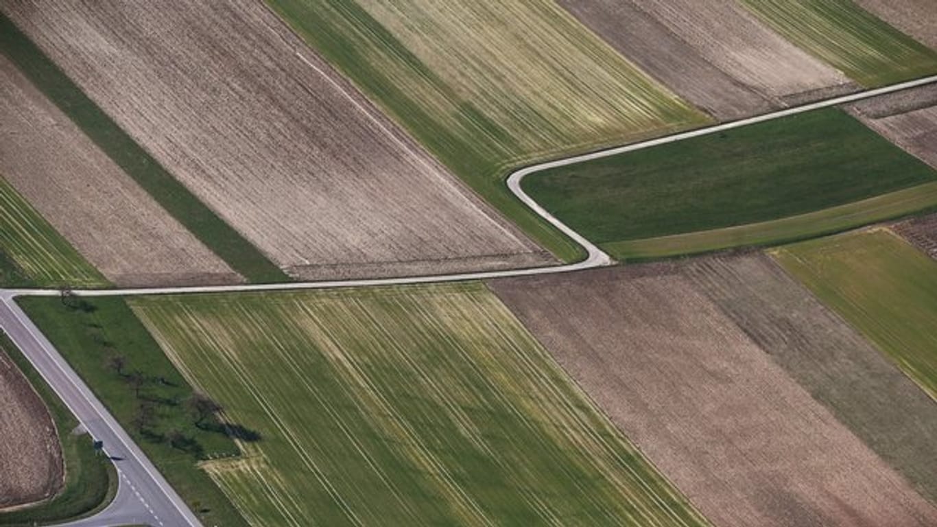 Die intensive Landwirtschaft in Deutschland nimmt immer mehr Tieren den Lebensraum.