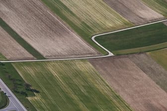 Die intensive Landwirtschaft in Deutschland nimmt immer mehr Tieren den Lebensraum.