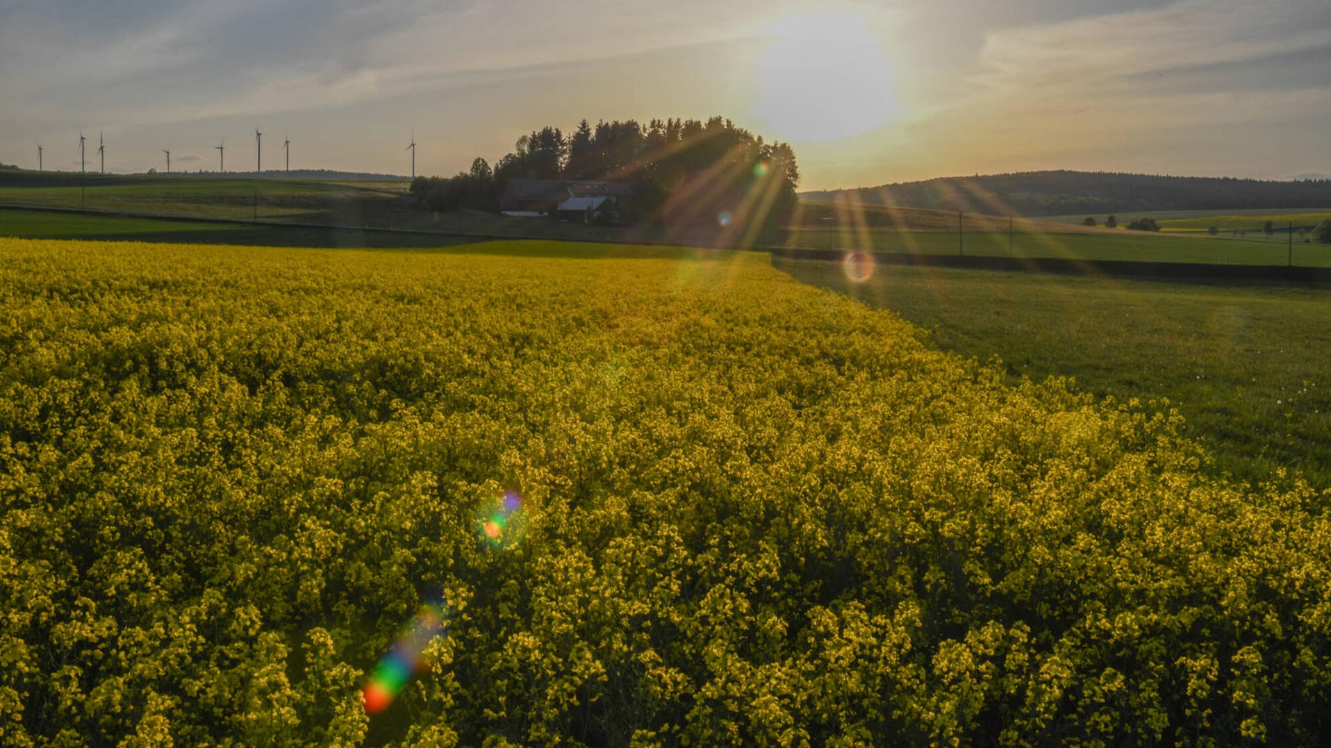 Agrarregion: Der Natur in Deutschland geht es nicht gut, dies zeigt ein Bericht des Bundesumweltminiteriums (Symbolbild).