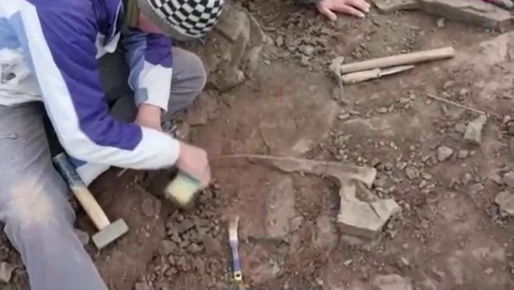 Riesenräuber aus Dino-Zeiten: Paläontologen sind in Argentinien auf Überreste eines Megaraptors gestoßen. Riesenräuber aus Dino-Zeiten: Paläontologen sind in Argentinien auf Überreste eines Megaraptors gestoßen.