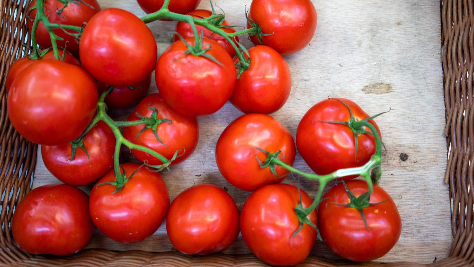 Lagerung von Tomaten: Forscher von der Universität Göttingen haben sich mit dieser vieldiskutierten Frage beschäftigt.