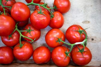 Lagerung von Tomaten: Forscher von der Universität Göttingen haben sich mit dieser vieldiskutierten Frage beschäftigt.