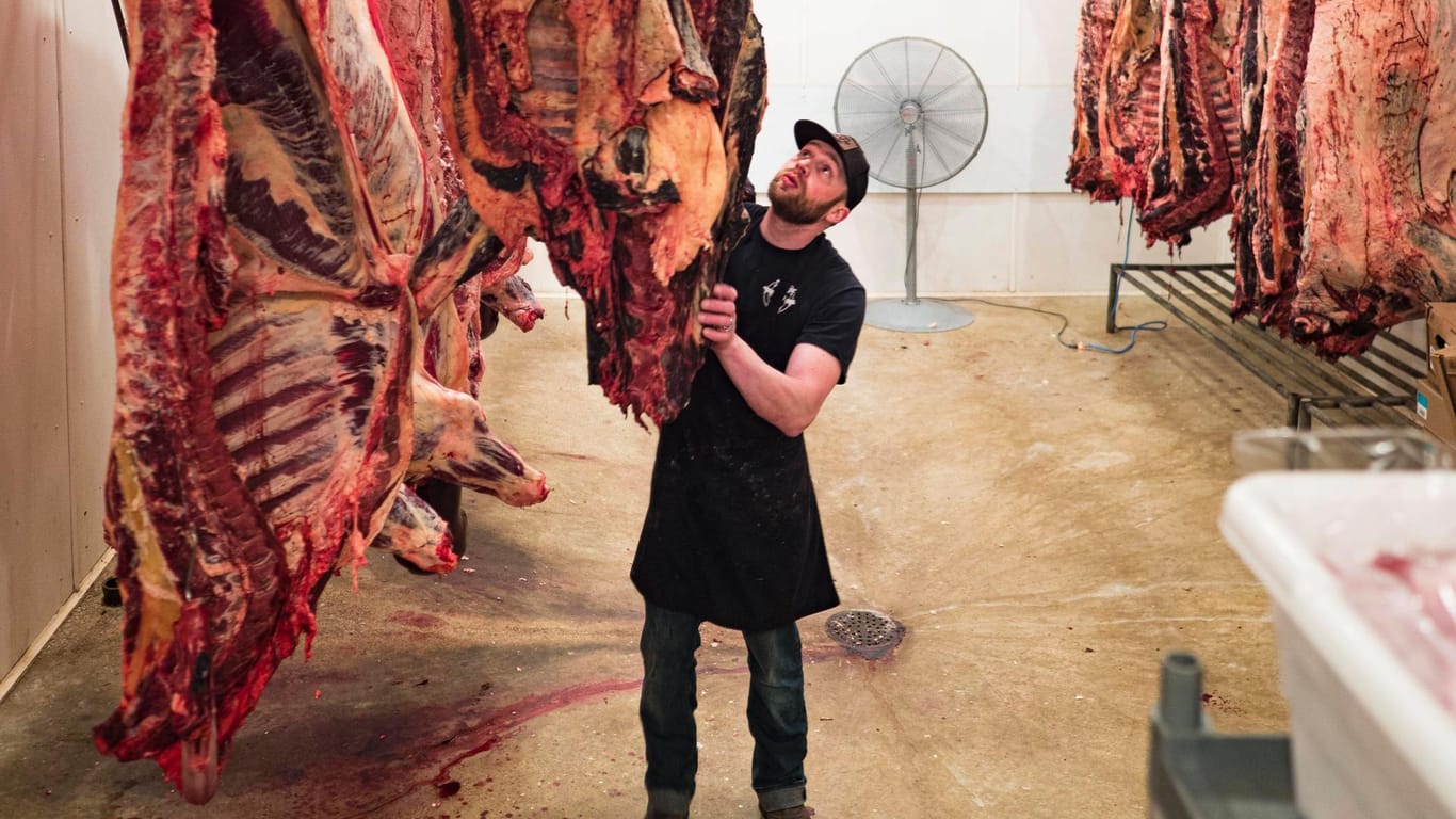 Fleischbetrieb: Nach Corona-Fällen auf einigen Schlachthöfen hat das Bundeskabinett nun die Arbeitsschutzvorschriften verstärkt. (Symbolbild)