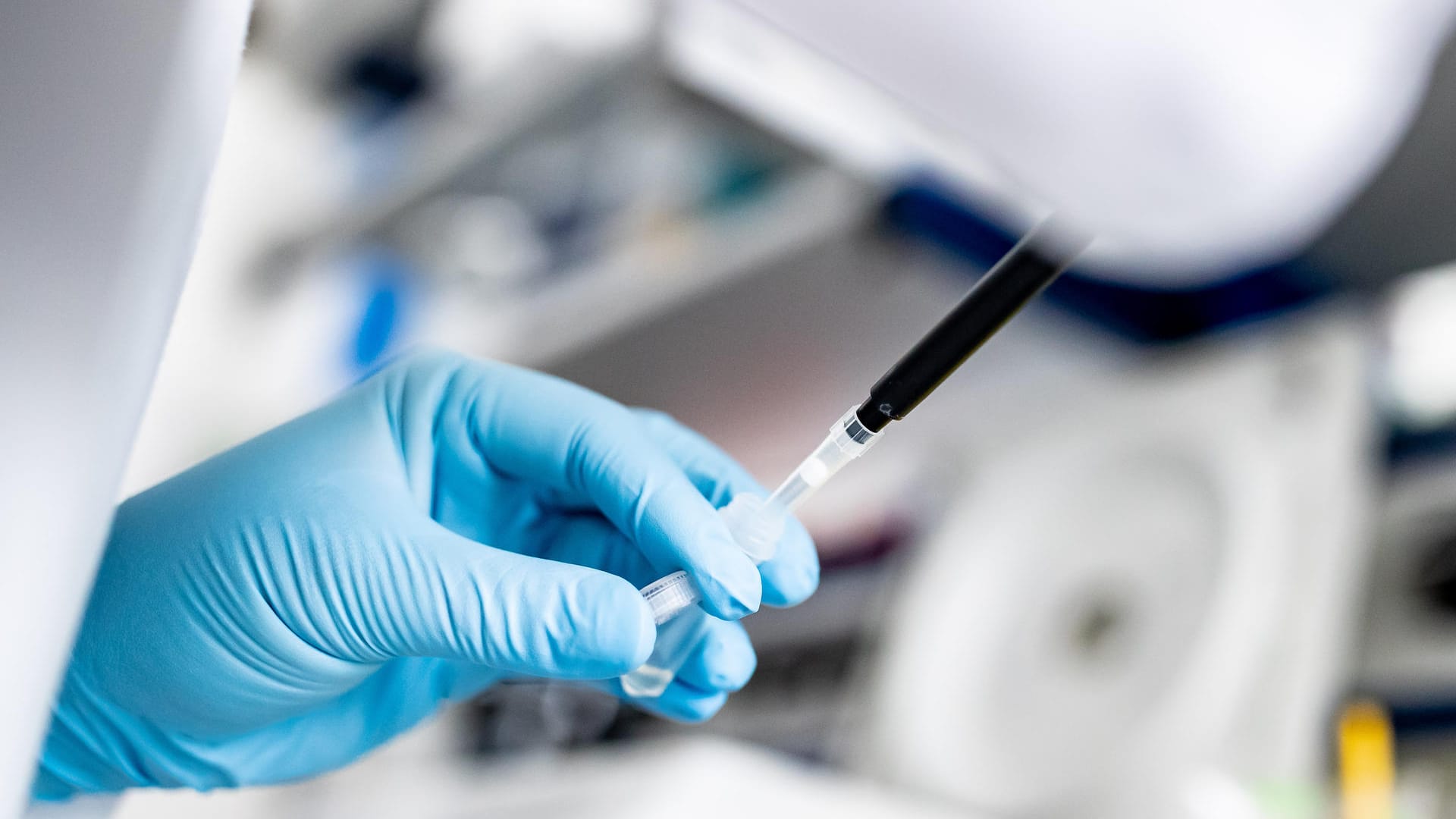Eine Doktorandin der Heinrich-Heine-Universität Düsseldorf arbeitet an Proben für die Coronavirus-Forschung: Die Forschungsprojekte beschäftigen sich unter anderem mit Immunität nach ausgeheilter Infektion. Eine Doktorandin der Heinrich-Heine-Universität Düsseldorf arbeitet an Proben für die Coronavirus-Forschung: Die Forschungsprojekte beschäftigen sich unter anderem mit Immunität nach ausgeheilter Infektion.