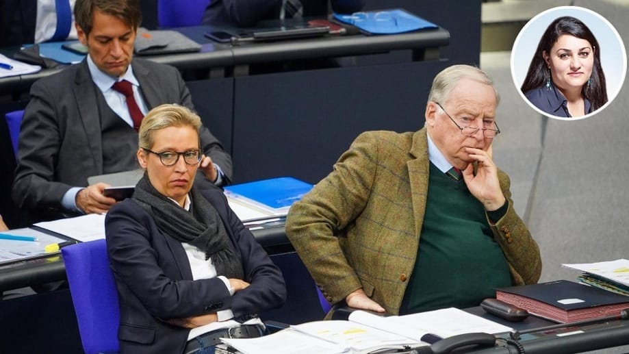 Die AfD-Frontleute Weidel und Gauland halten die Corona-Vorsichtmaßnahmen für übertrieben.