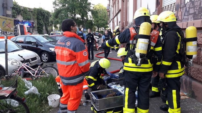 Einsatzkräfte an einem Haus: Die Feuerwehr hat mehrere Haustiere gerettet.