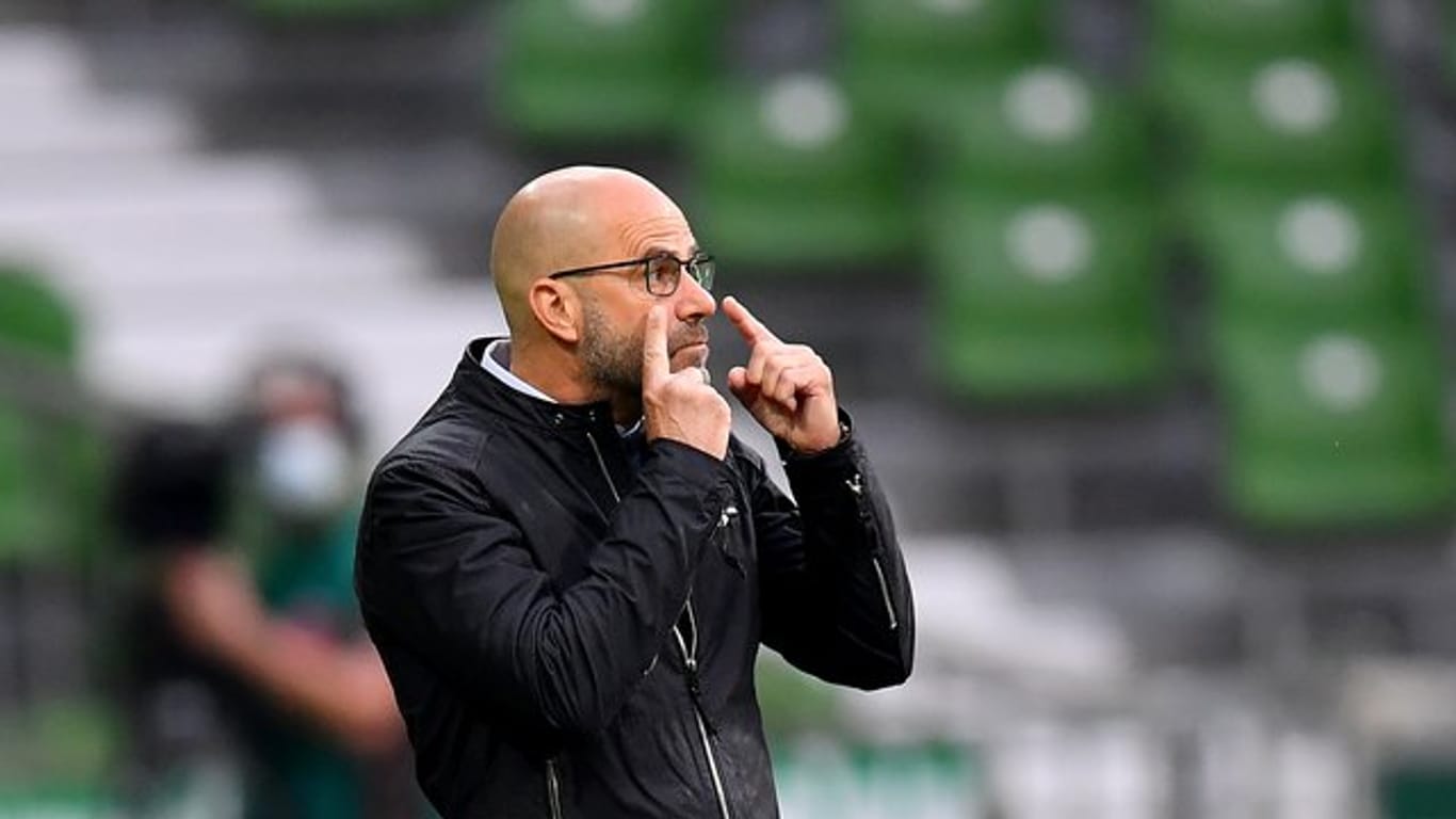 Hat mit Leverkusen die Gladbacher Borussia vor Augen: Bayer-Coach Peter Bosz.