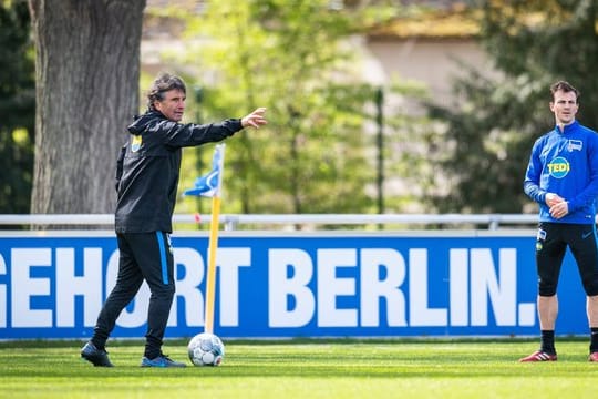 Bruno Labbadia (l) setzt im Derby auf Vladimir Darida.