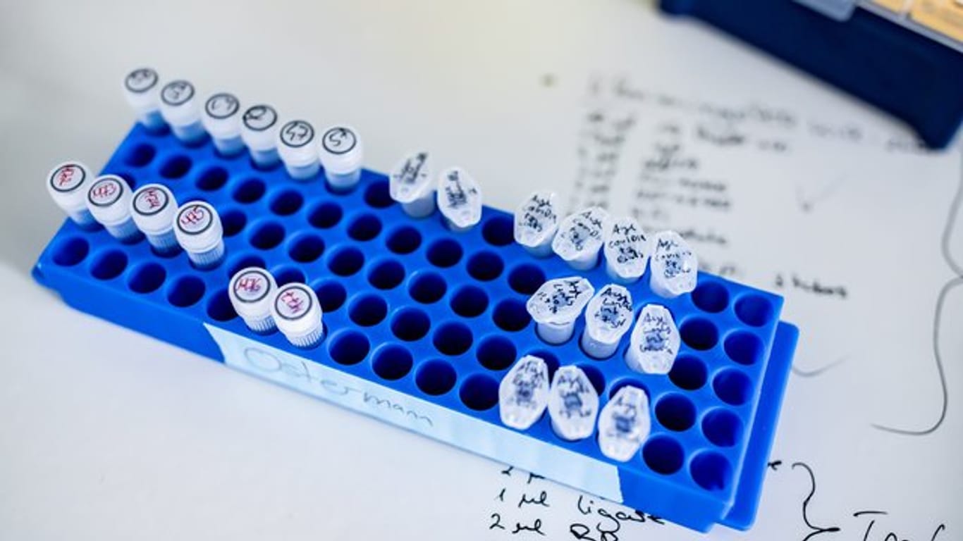 Proben für die Coronavirus-Forschung stehen auf einem Tisch einem Labor der Heinrich-Heine-Universität Düsseldorf.