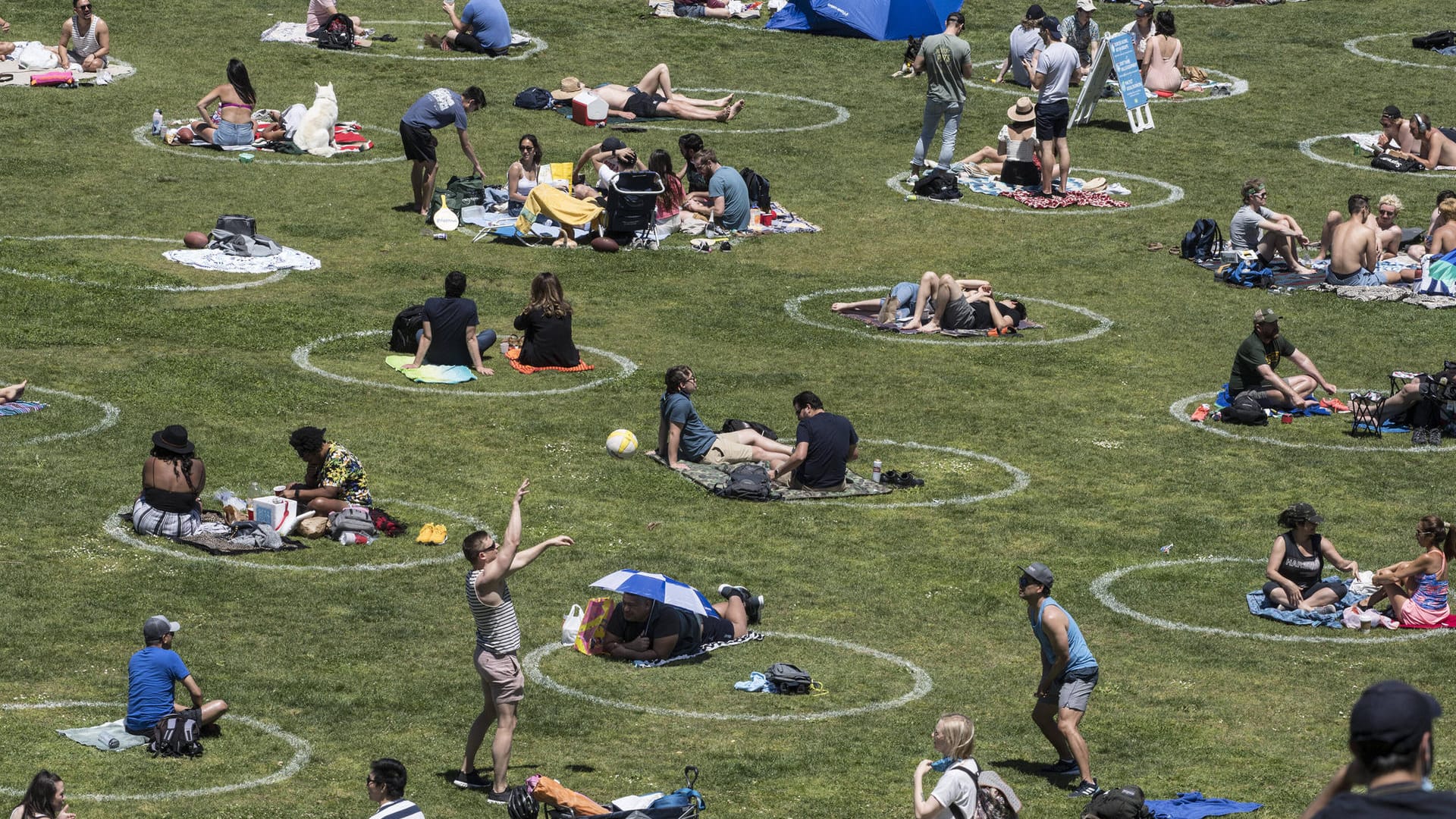 Ein Park in San Francisco: Besucher dürfen sich nur in den markierten Bereichen aufhalten.