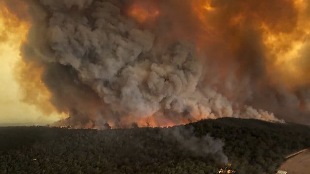Dichte Rauchwolken steigen im Januar über einem Wald an der australischen Ostküste auf. Dichte Rauchwolken steigen im Januar über einem Wald an der australischen Ostküste auf.
