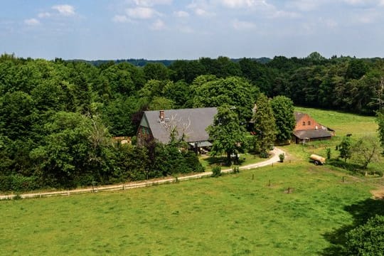 Das "Sommerhaus der Stars" wird in diesem Jahr erstmals nicht im Ausland aufgezeichnet, sondern wegen der Corona-Pandemie in Deutschland.