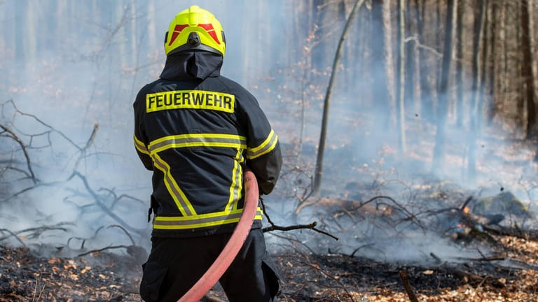 Ein Feuerwehrmann löscht einen Waldbrand (Symbolbild): In Hagen hat am Mittwoch ein Waldstück gebrannt.