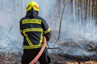 Ein Feuerwehrmann löscht einen Waldbrand (Symbolbild): In Hagen hat am Mittwoch ein Waldstück gebrannt.
