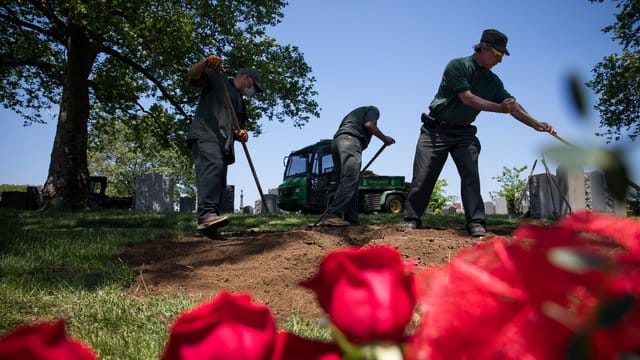 In den USA sind mehr als 100. In den USA sind mehr als 100.