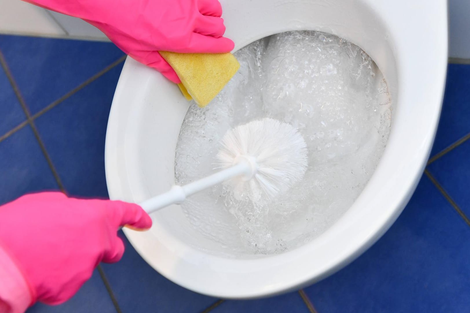 Toilette reinigen: Mit diesem Putzhelfer wird das stille Örtchen blitze blank.