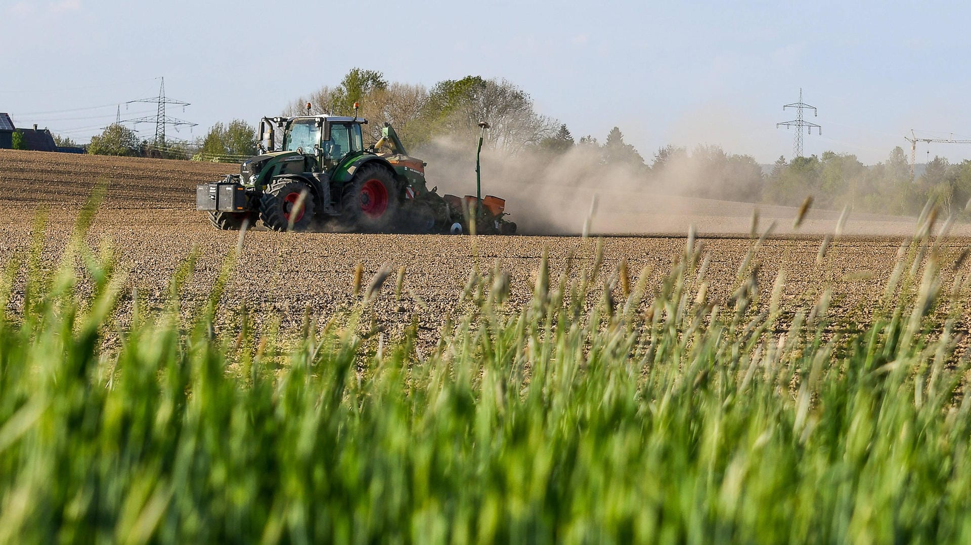 Trockenheit in Deutschland: Der Landwirtschaft droht der dritte Dürresommer.