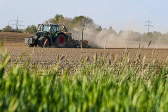 Trockenheit in Deutschland: Der Landwirtschaft droht der dritte Dürresommer.