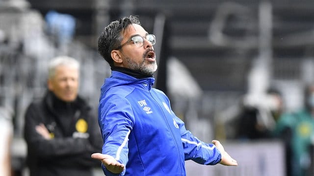 Hat eine Job-Garantie bekommen: Schalke-Trainer David Wagner.