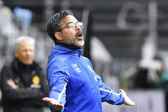 Hat eine Job-Garantie bekommen: Schalke-Trainer David Wagner.