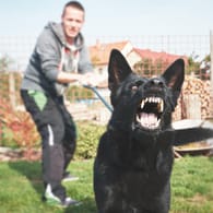 Aggressiver Hund: Eine Expertin erklärt, wie Sie am besten auf aggressive Hunde reagieren.