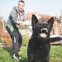 Hundeattacke: Wie sie sich bei aggressiven Hunden richtig verhalten | Tipps