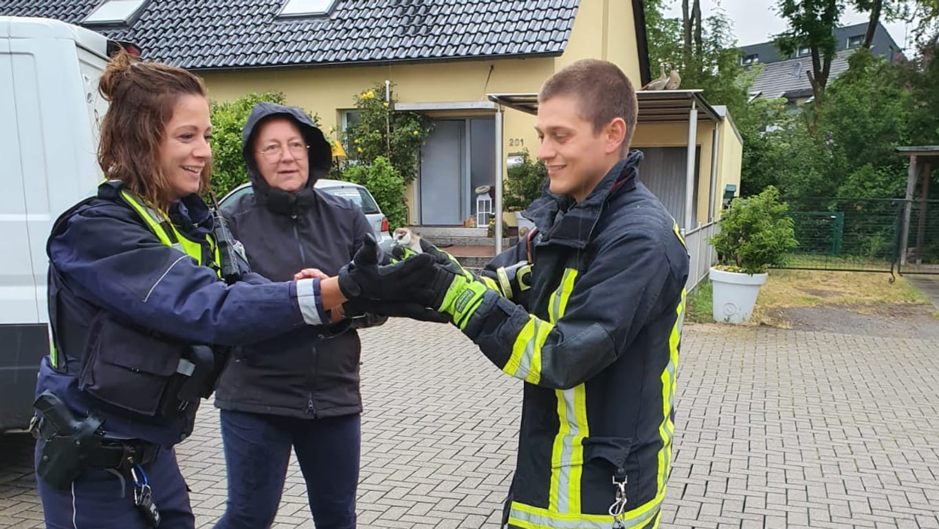 Eine Polizistin überreicht einem Feuerwehrmann ein Gänseküken: In Dortmund haben Einsatzkräfte eine Gänsefamilie gerettet.
