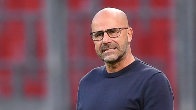 Will in Leverkusen einen Sieg gegen die Bayern holen: Trainer Peter Bosz. Will in Leverkusen einen Sieg gegen die Bayern holen: Trainer Peter Bosz.
