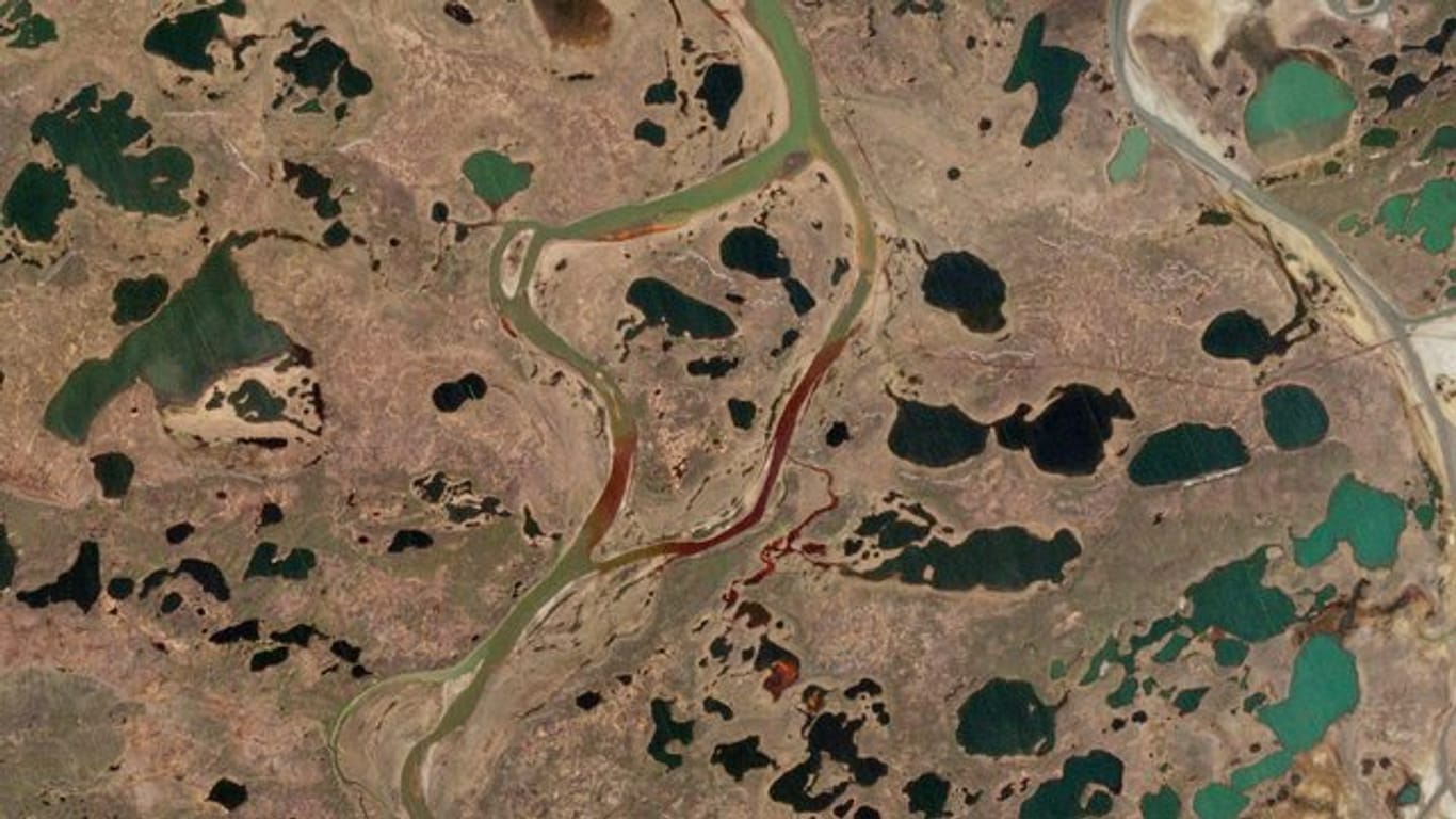 Das Satellitenbild zeigt ein Öl-Leck in der Nähe der sibirischen Stadt Norilsk, rund 21 000 Tonnen Diesel sind dadurch bereits in die Natur gelangt und unter anderem in den Fluss Ambarnaja geströmt.