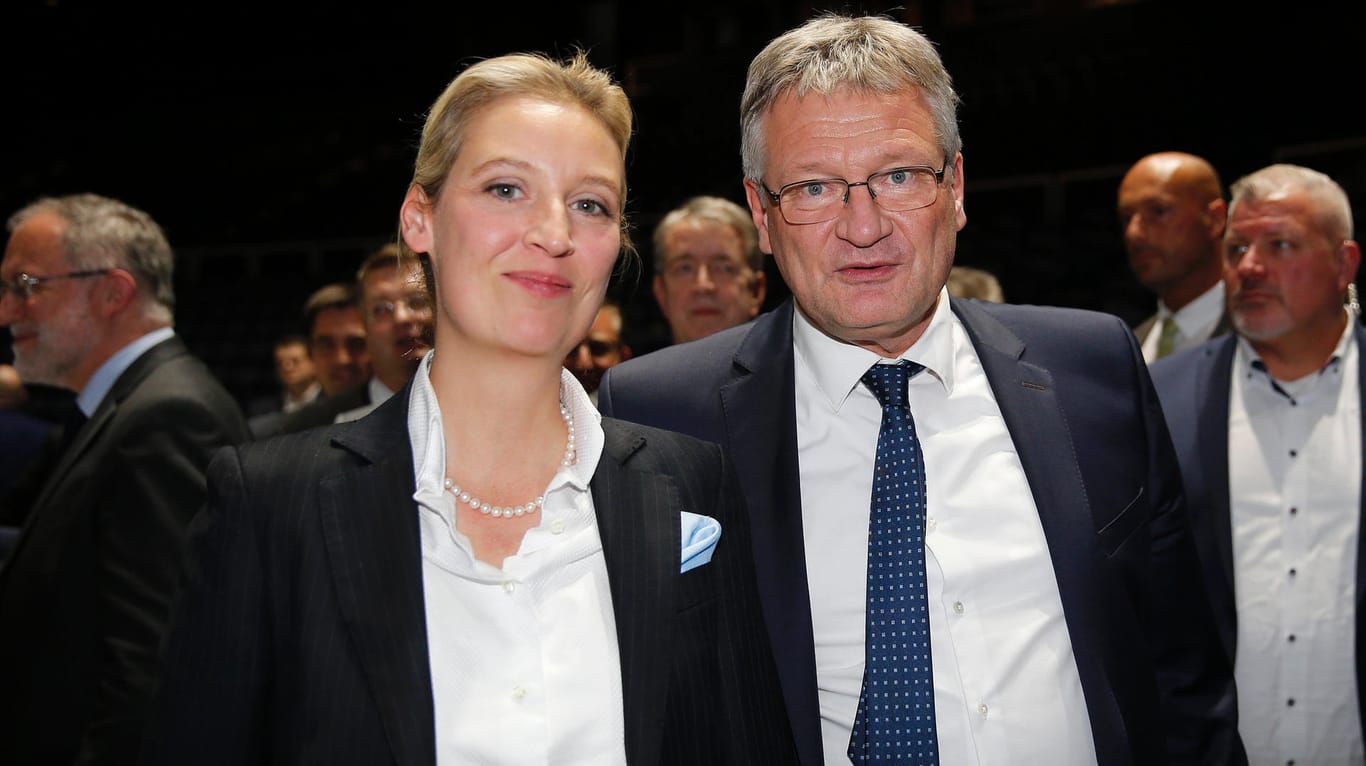 Alice Weidel und Jörg Meuthen konkurrieren im AfD-Bundesvorstand um Einfluss.