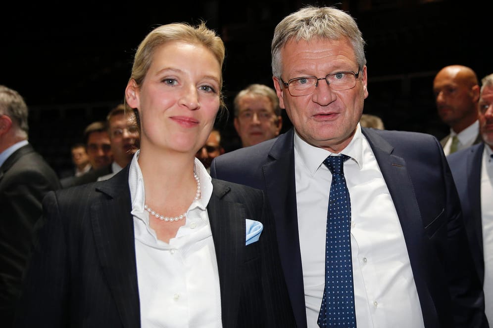 Alice Weidel und Jörg Meuthen konkurrieren im AfD-Bundesvorstand um Einfluss.