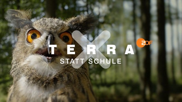 Ein Ausschnitt aus "Terra X statt Schule".