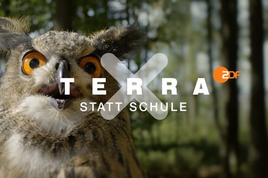 Ein Ausschnitt aus "Terra X statt Schule".